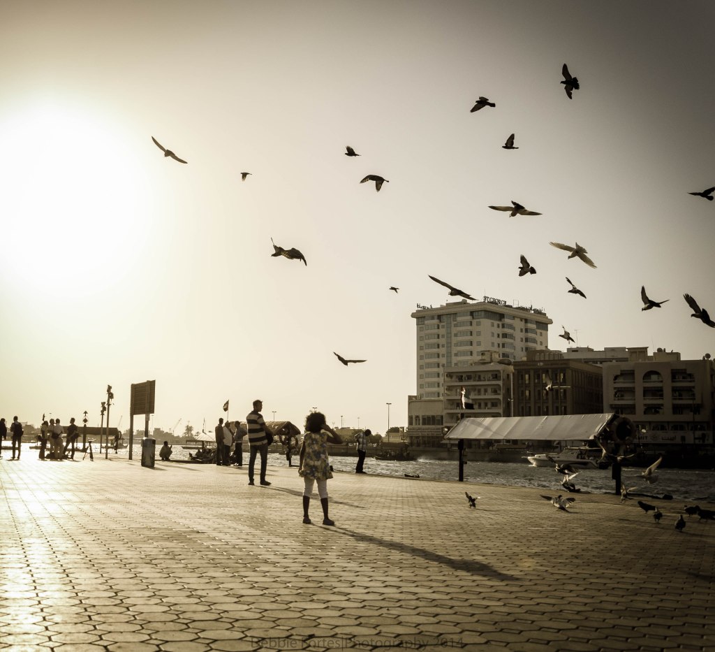 Camera: Nikon D7000 f/5.6 1/8000 ISO- 500