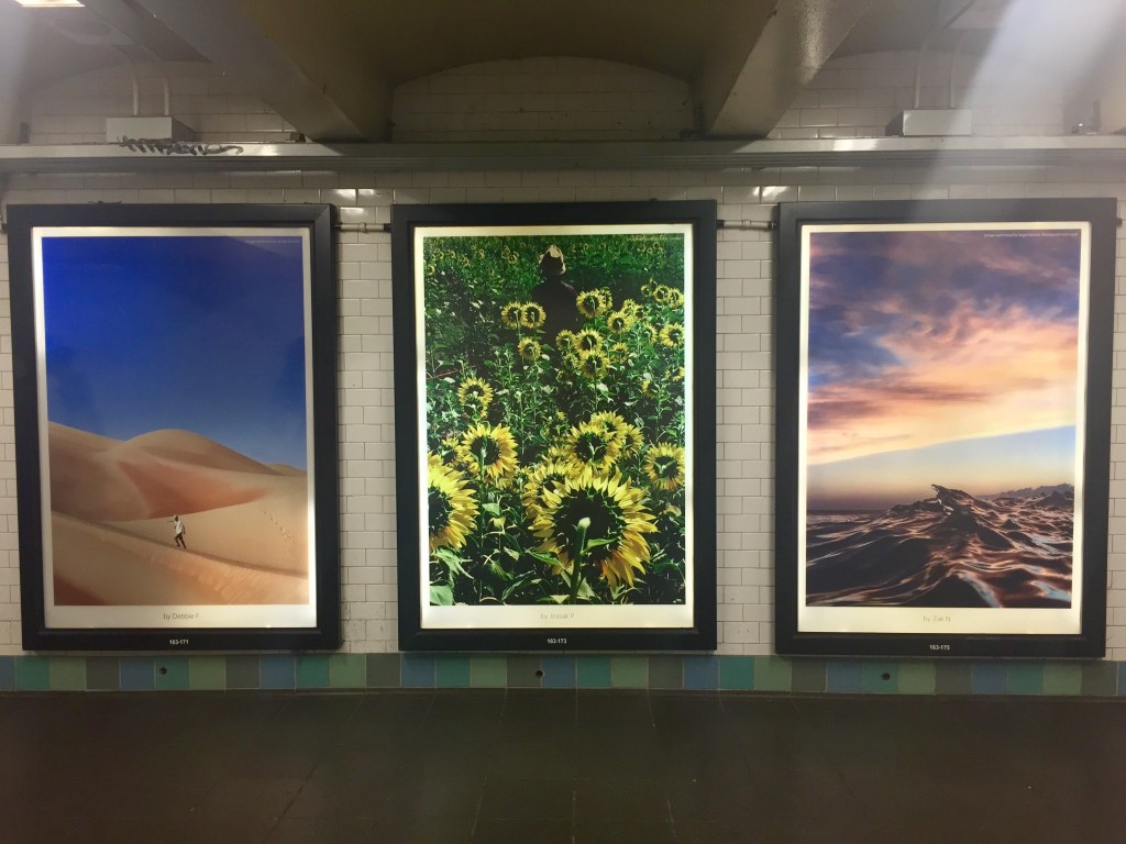 W 47th St. New York, NY Photo credit: Leslie Parrott