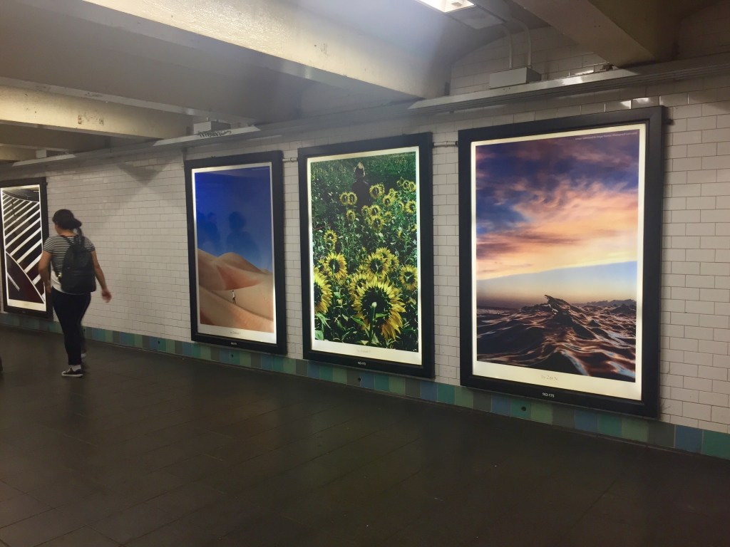 W 47th St. New York, NY Photo credit: Leslie Parrott